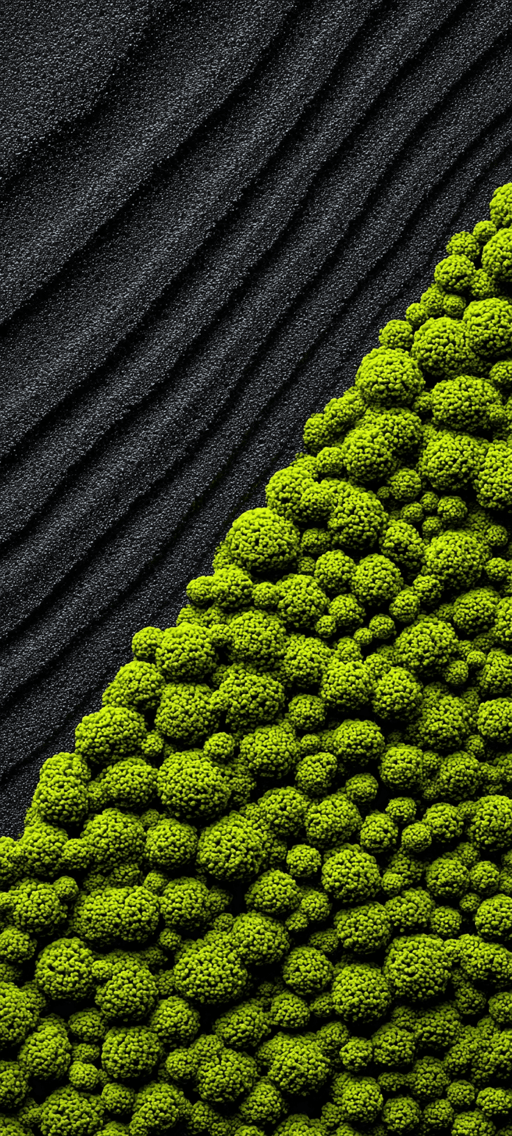 Green Moss and Dark Textured Rock Split — Minimalist Nature Wallpaper