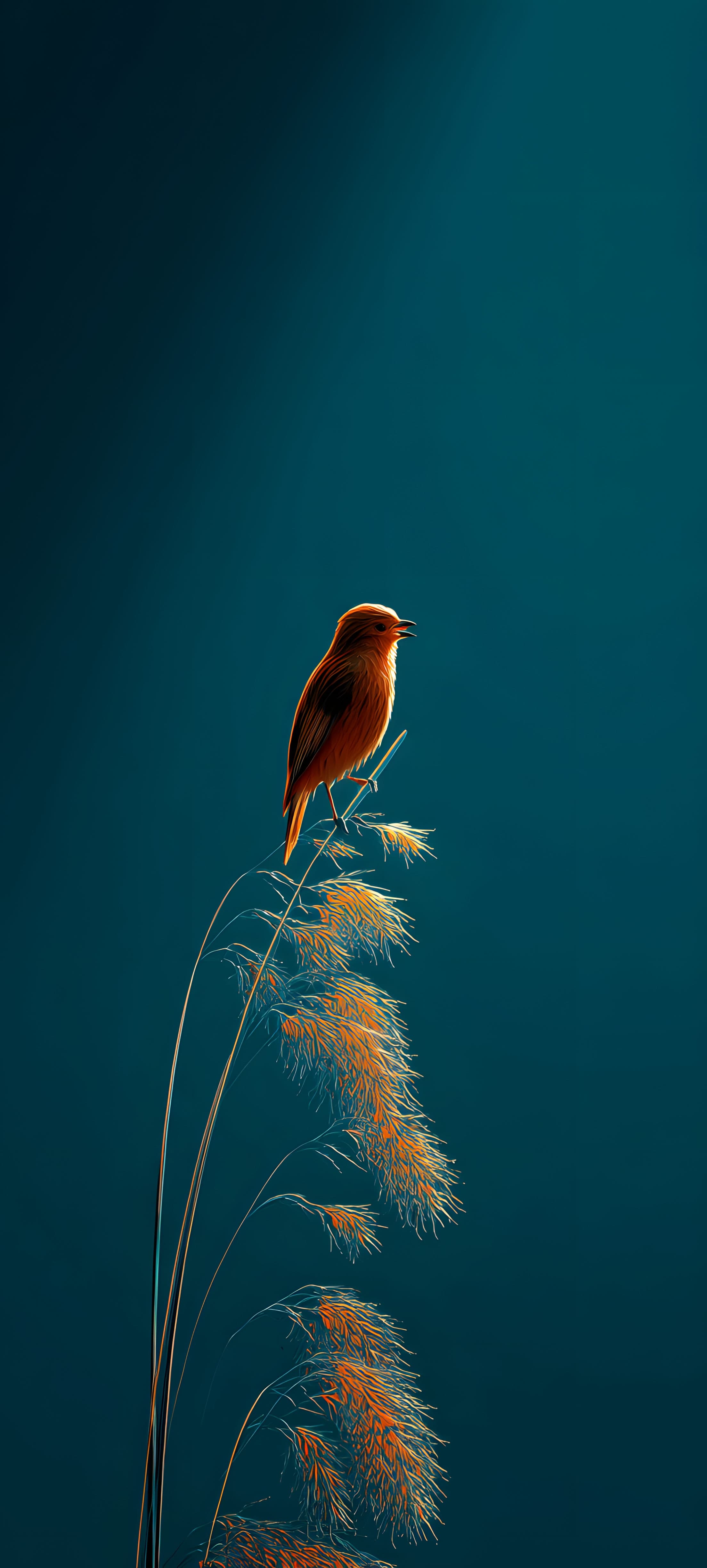 A bird perched on a tall grass stalk against a sunset sky with orange and blue hues.