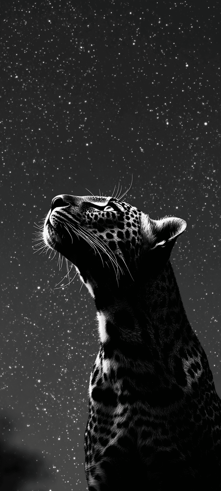 A cheetah silhouette gazing at a starry night sky in black and white photography.